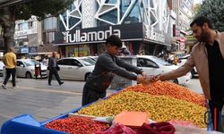 Kışın Habercisi Guhişk (alıç) Tezgahlardaki Yerini Aldı: Fiyatı 200 TL’den alıcı buluyor