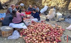 Geleneksel Nar Ekşisi Yapımı Başladı