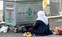 Çöp Konteynerlerinde Geçim Arayışı: Türkiye'de Yoksulluk ve Ekonomik Eşitsizlik