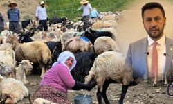 Geçirgen: Yüksekova Tarımında Üreticilere Her Türlü Destek Verilmeye Devam Edilecek