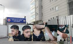 Emniyet Müdürü ve Polis Amirinin A.K. ve B.T.'ye Yönelik Şiddet İddiası