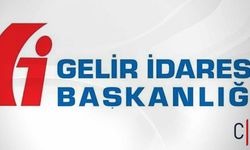 Gelir İdaresi Başkanlığı (GİB) 820 Personel Alımı Yapacak: Hakkari İçin 3 Kontenjan!