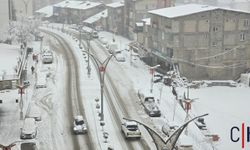 Hakkari'de Kar Yağışı Hayatı Olumsuz Etkiledi