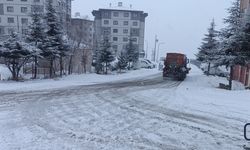 Hakkari’de Sis Etkili Olmaya Devam Ediyor: Sürücülere Uyarı