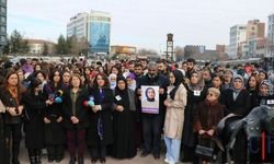 Rojin Kabaiş'in Ailesi: "Rojin'i Öldürüp Suya Atmışlar"