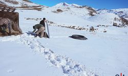 Hakkari’nin Geçitli Köyün'den Su Hattı Talebi