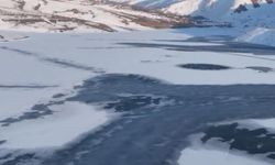 Doğanın Sessiz Sanatı: Dilimli Barajı’nın Buzla Kaplı Güzelliği