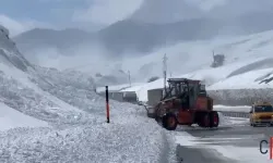 Hakkari'de Çığ Sonrası Karayolunda Mahsur Kalan Araçlar Kurtarıldı