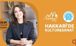 Hakkari’de Edebiyat Rüzgarı: Dilek Cesur Söyleşisi