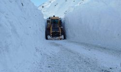 Hakkari’de 18 Köy, 64 Mezra Ulaşıma Kapandı!