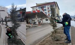 Hakkari’de Çöp Temizliği ve Ağaç Bakımı Çalışmaları Hızla Devam Ediyor