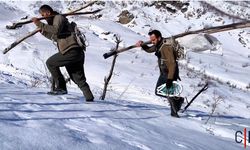 Hakkari'nin Dağlarında Bir Başka Bahar