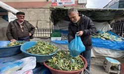 Doğal Antibiyotik Çiriş Otu, Hakkari Pazarıyla Buluştu