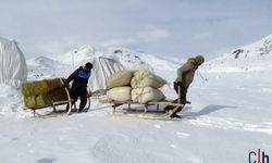 Hakkari'deki Köylüler Dağlardan Kızaklarla Ot İndiriyor