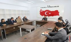 Hakkari'de Sahipsiz Sokak Hayvanlarına Yönelik Yeni Tedbirler Alınıyor