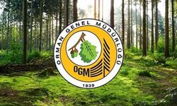 Orman İşçisi Olma Şansı! OGM 4500 Kişi Alacak.. İşte Detaylar!