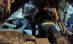 Yüksekova'da çöken ahırdaki hayvanlar kurtarıldı
