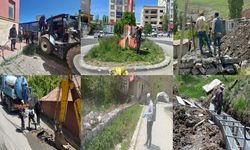 Hakkari’de Altyapı Çalışmaları ve Haşere Mücadelesi Aralıksız Sürüyor