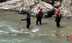 Hakkari’de Acı Bekleyiş: Kayıp Genç İçin Arama Kurtarma Sürüyor