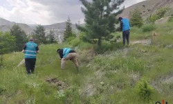 Denetimli Serbestlikten Toplumsal Sorumluluğa, Hakkâri’de Örnek Çevre Projesi