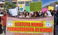 Hakkari’de 15 Mayıs Kürt Dil Bayramı Coşkuyla Kutlandı