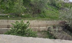 Hakkari’de Engelli Çocuk İçin Yol ve Doğalgaz Talebi: Aileden Yetkililere Çağrı
