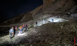 Sümbül Dağı'nda Kaybolan Yaşlı Adam Sağ Olarak Bulundu