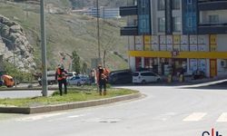 Hakkari’de Parklar ve Yol Kenarları Yeniden Canlanıyor