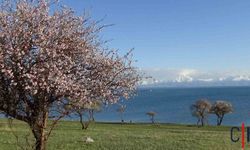 Van’ın Saklı Cenneti Çarpanak, Badem Çiçekleriyle Baharı Karşıladı