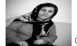 Taş Ailesinin Acı Günü