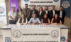 Hakkari ÖHD’den Kürt Dili İçin Statü ve Özgürlük Talebi