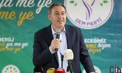 Bakırhan: 'Korucular Silahı Bırakıp Çobancılıkla Uğraşsın'