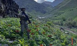 Hakkari'de Ters Lalelere Zarar Verenlere Yüksek Para Cezası