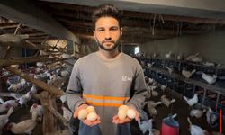 Hakkari'den Yükselen Girişimcilik Hikâyesi