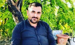 Hakkari'de Trafik Kazası Kamyonet Uçuruma Yuvarlandı 1 Kişi Hayatını Kaybetti