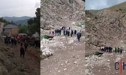 Yüksekova'da Yıldırım Düşmesi Sonucu Çoban Yaralandı, 8 Koyun Telef oldu