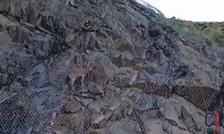 Hakkarili Taksici Tellere Takılan Dağ Keçisini Kurtardı