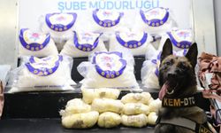 Hakkari’de 66 Kilo Metamfetamin Ele Geçirildi