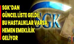 Hakkarililer bu habere dikkat; Bu hastalıklarla emeklilik kapıları açılıyor