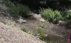 Hakkari Ağaçdibi Köyü'nde Su Yolu Kapandı, Ürünler Kurudu
