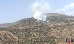 Hakkari'de Orman Yangını 2 Saatte Kontrol Altına Alındı: 5 Hektar Kül Oldu
