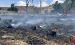Hakkari'de Tarım Arazisinde Yangın: 1500 Bağ Ot Kül Oldu