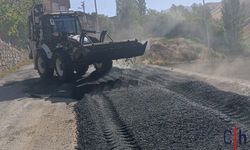 Hakkari'de kaldırım ve yol onarımları hızla devam ediyor