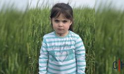 Leyla Aydemir Davasında Yargıtay'dan Flaş Karar: Beraat Bozuldu!