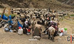 Hakkari Yaylalarına Güneş Enerjili Sistemler Kuruluyor