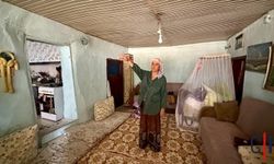 Hakkari'de Yılanlarla Mücadele Eden Aile Yardım Bekliyor