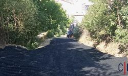 Hakkari Belediyesin’den Gola Zuryan yoluna asfalt