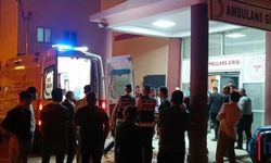 Hakkari’nin Çanaklı Köyünde: 30 Yılda 25 Can Kaybı, 15 Yaralı!