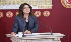 DEM Parti Hakkari'deki Sağlık Eksikliğini Meclis’e Taşıdı