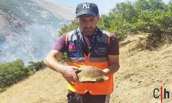 Hakkari’deki Orman Yangını Kontrol Altına Alındı